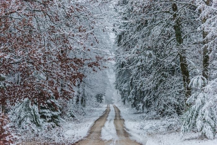 Winter